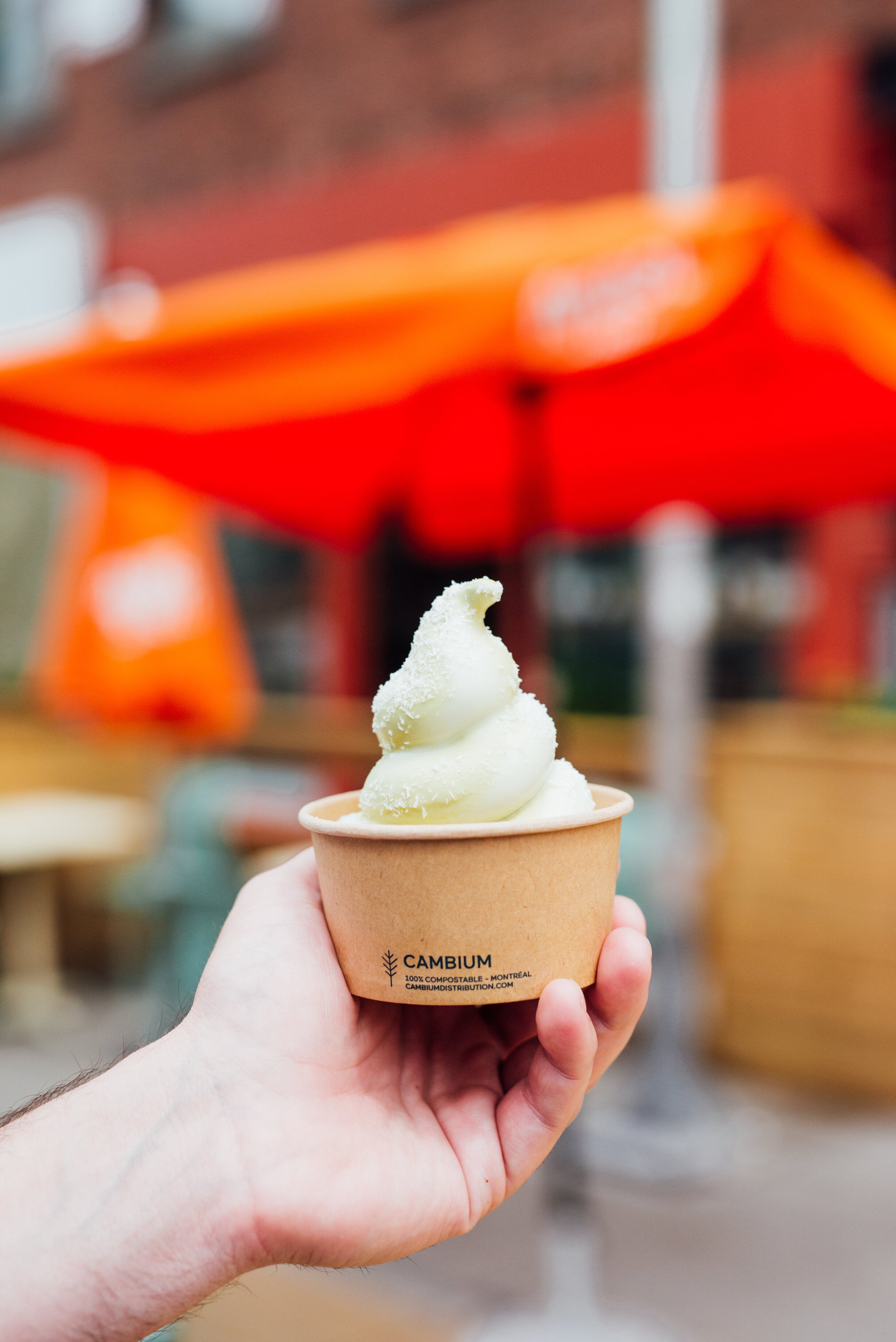 Bols à crème glacée en carton