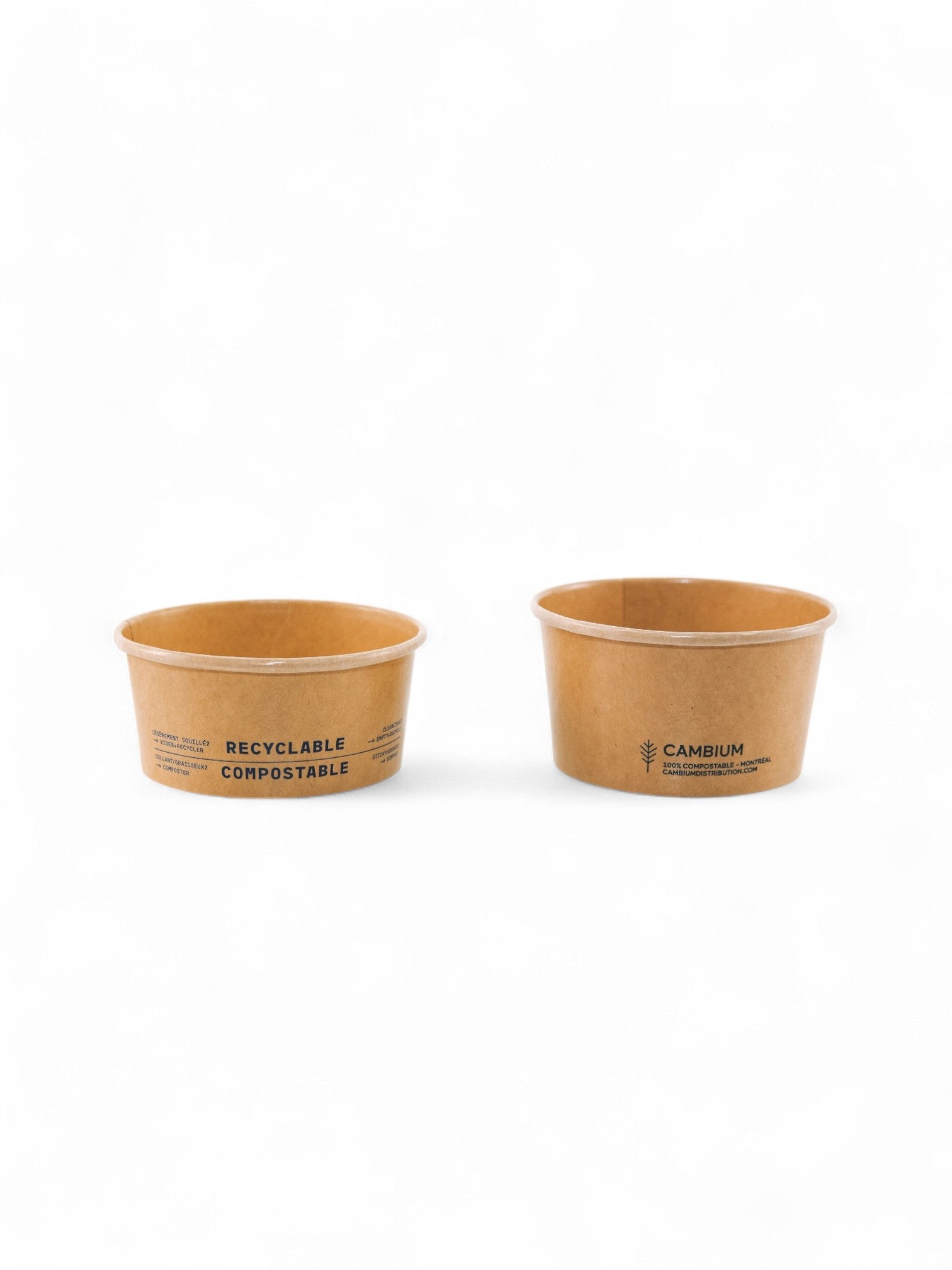 Bols à crème glacée en carton