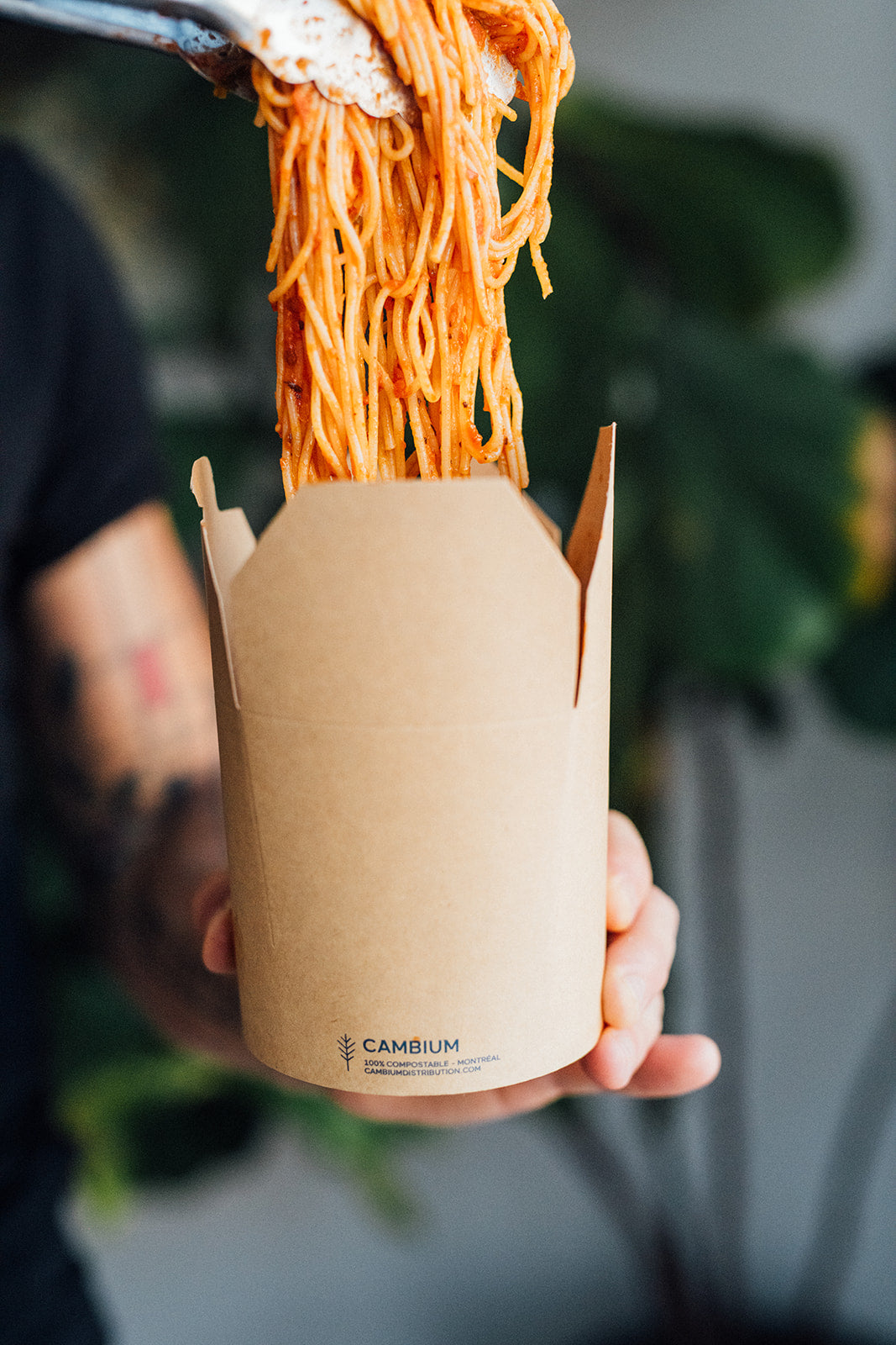 Boîtes à nouilles en carton