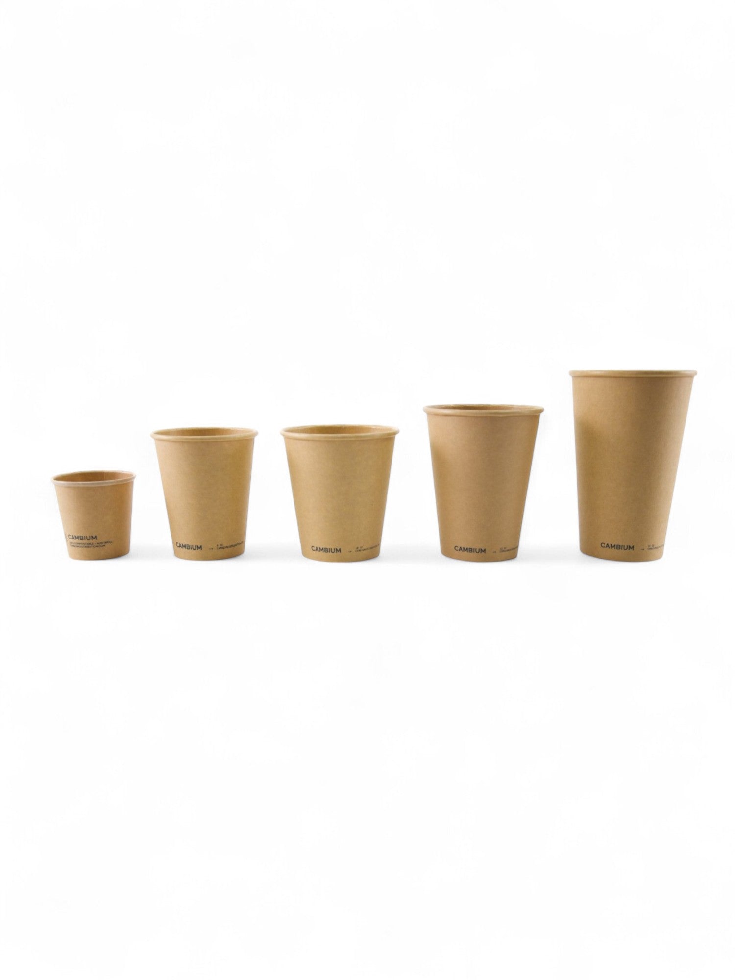 Cambium kraft paper cups in various sizes, eco-friendly recyclable and compostable coffee cups for hot and cold drinks